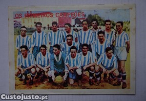 imagem_3
