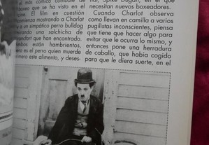 imagem_8