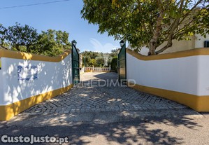 imagem_33