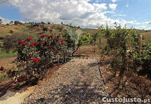 imagem_32