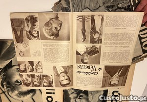 imagem_6