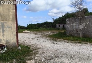 imagem_7