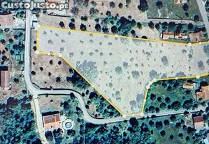Terreno em Igreja Nova do Sobral de 7665,00 m