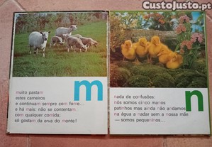imagem_3