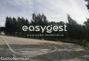 imagem_16