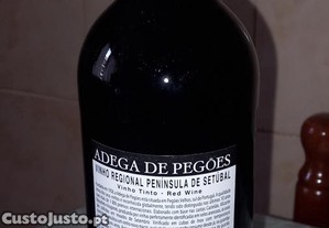 imagem_2