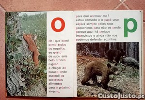 imagem_2