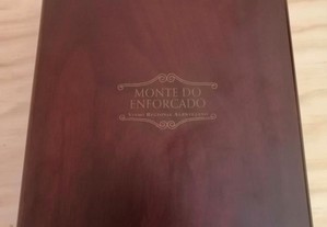 imagem_3