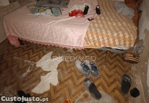 imagem_11