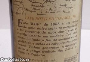 imagem_3
