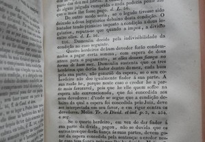 imagem_7