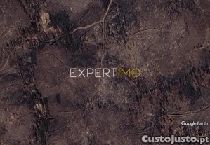 imagem_1