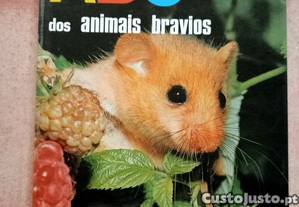 imagem_1