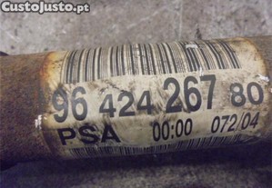 imagem_4