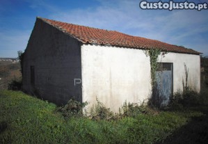 imagem_3