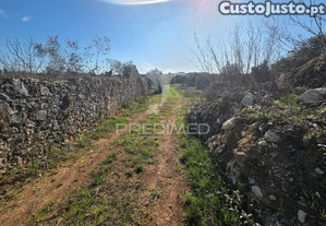 imagem_18