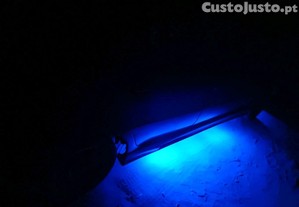 imagem_11