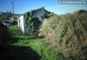 imagem_26