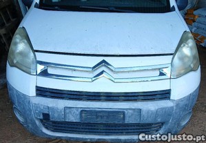 imagem_1