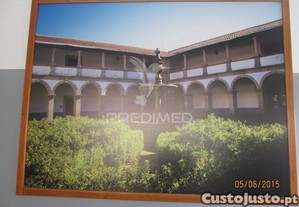 imagem_7