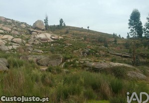 Terreno em Seixo da Beira de 16000,00 m²