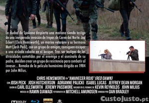 imagem_2