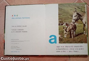 imagem_4