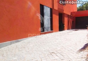 imagem_20