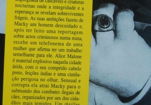 imagem_4