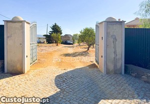 imagem_38
