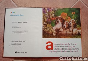 imagem_4