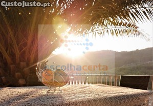 imagem_11