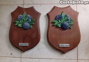Tbuas de madeira de mogno