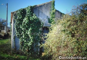 imagem_7