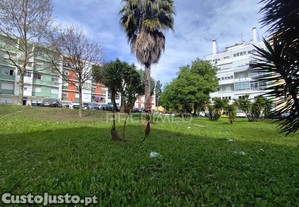 imagem_13