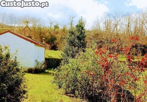 imagem_26