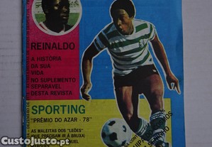 imagem_1