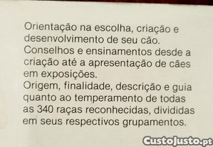 imagem_10