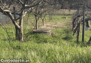 imagem_12