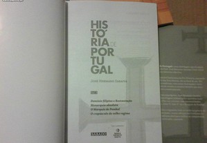 imagem_4