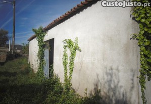 imagem_28