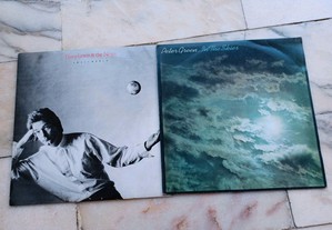 Vinil LP de Huey Lewis e Peter Green