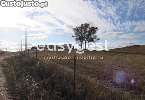 imagem_32