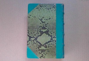 imagem_3
