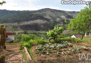 imagem_37