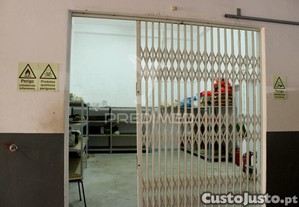 imagem_11