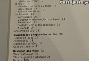 imagem_8