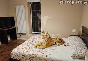 imagem_12
