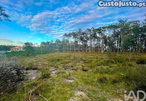 Terreno para construção em Monte Redondo e Carreira de 890,00 m²