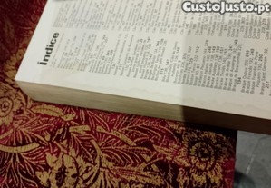 imagem_11